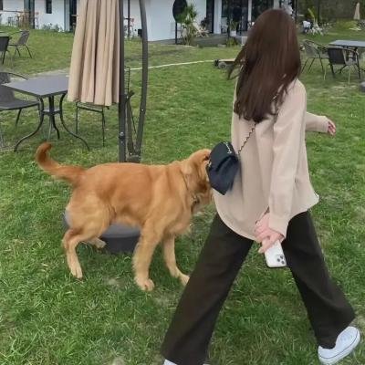 旅程的结束，世界的开始