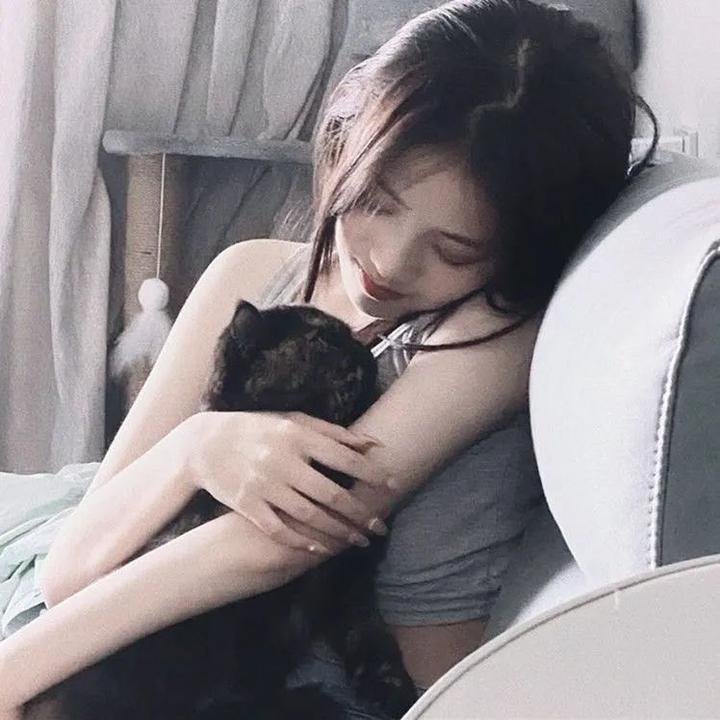 功夫熊猫